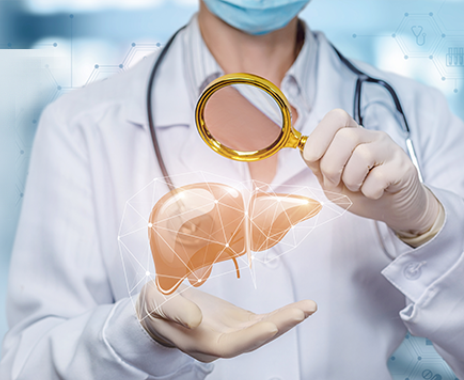 Ultrasound Application for Liver Diagnostics – FUJIFILM